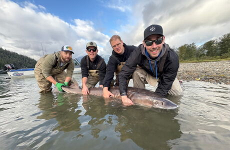 Kimco’s Field Team Reels In a Weekend of Sturgeon Fishing